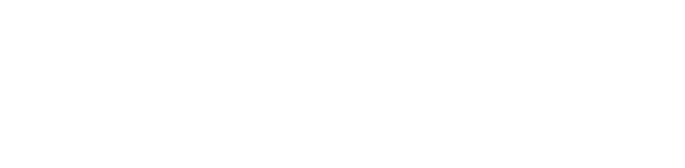 Plane icon