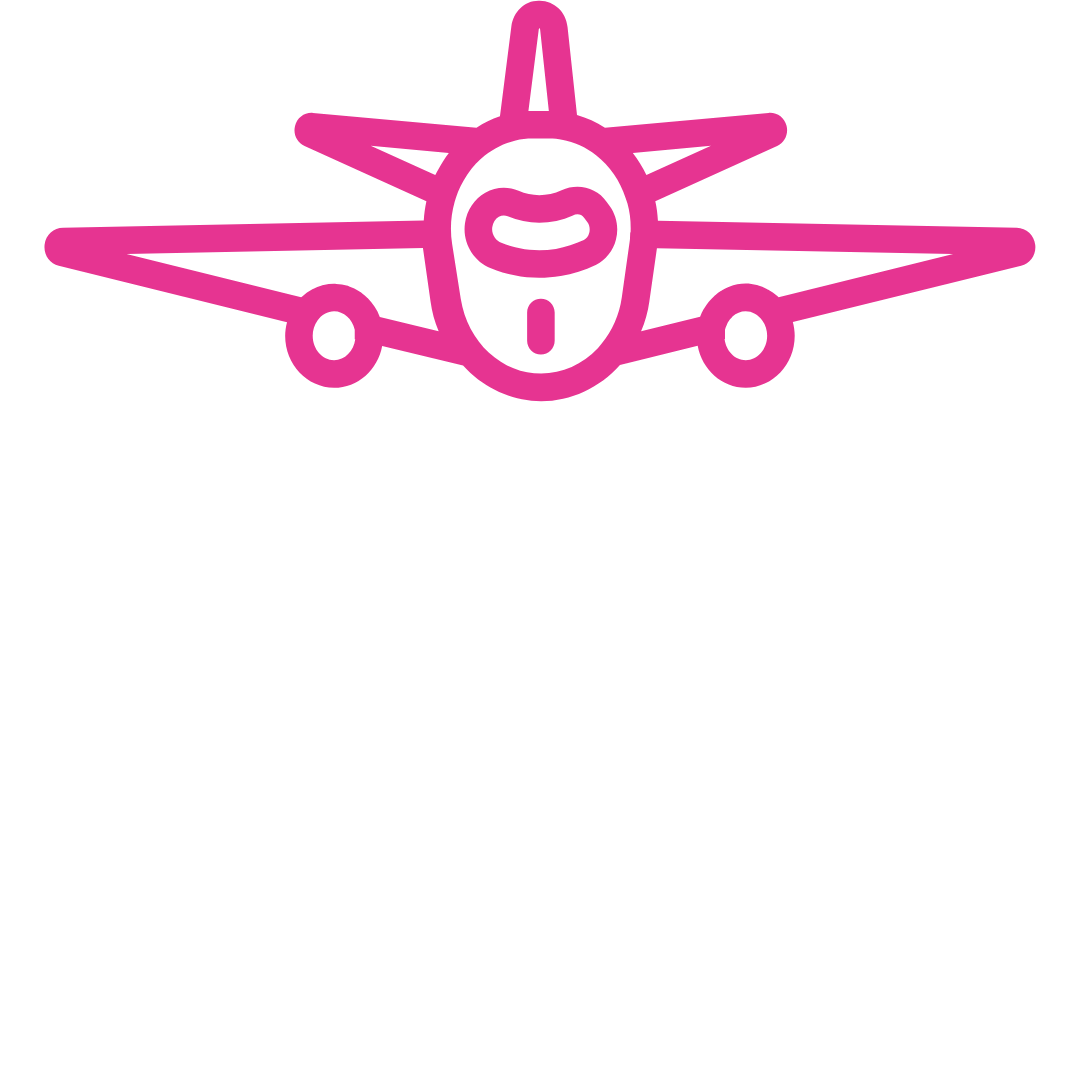 flight management icon